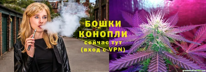 Канабис White Widow  купить  цена  Судогда 